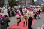 Thumbs/tn_Grote optocht 2016 048.jpg